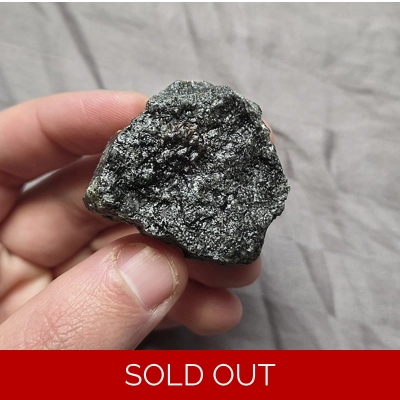 Ultra Rare Stegosaurus Plate Bone Jurassic Dinosaur Fossil Morrison Fm Wyoming